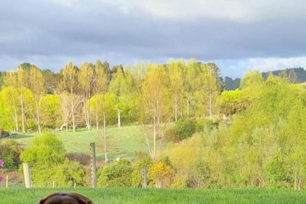 Maymorn Orchard Suites Upper Hutt Eksteriør billede