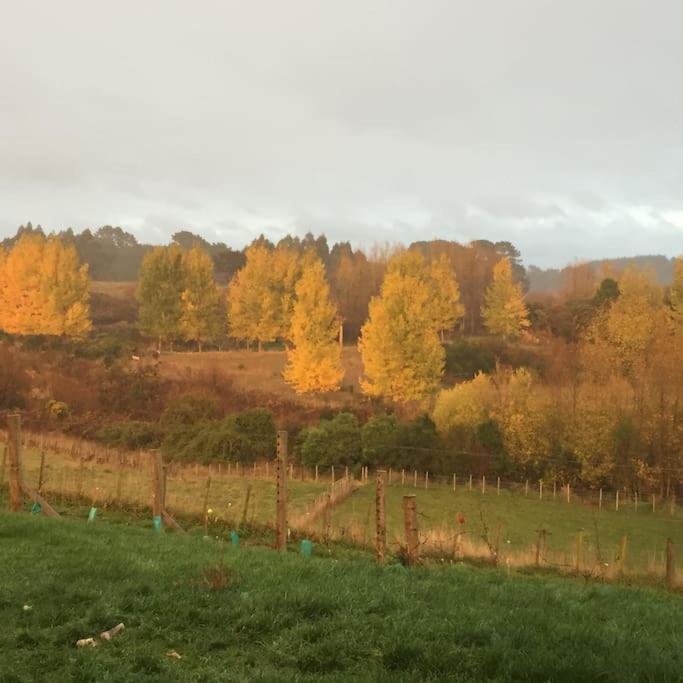 Maymorn Orchard Suites Upper Hutt Eksteriør billede